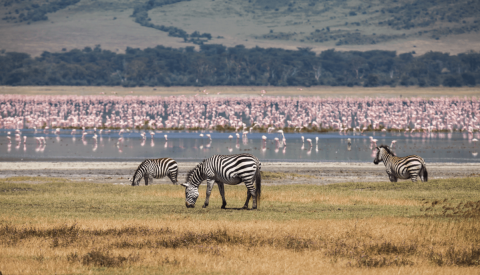 Ngorongoro-Krater