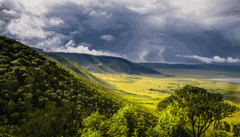 Ngorongoro Krater