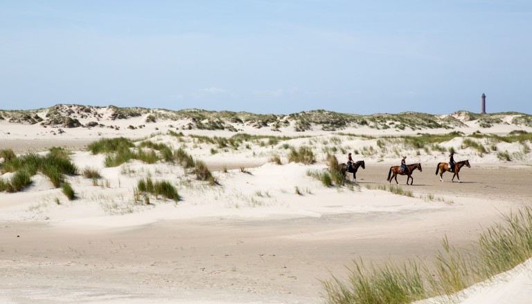 5 Vorschläge für Aktivitäten auf Norderney: Reisen Dünen Reiten