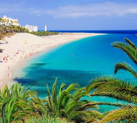 6 Tage Fuerteventura inkl. Flug, Zug, Transfer & HP