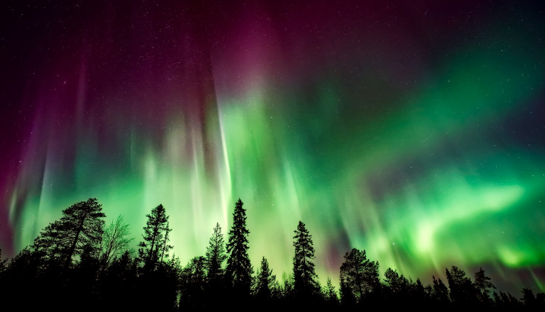 Wunderschöne Nordlichter auf Ihrer Norwegenreise
