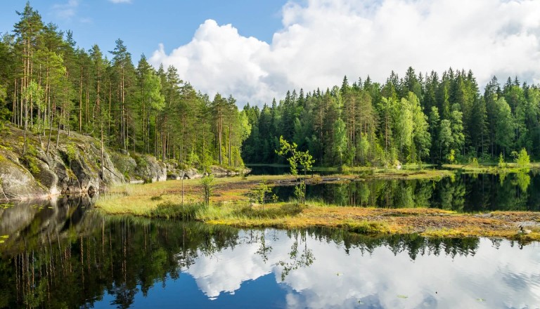 Der Nuuksio Nationalpark in Finnland.
