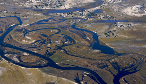 Okavango Delta