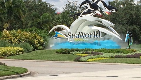 Die Seaworld Parks garantieren Spaß und Vergnügen.