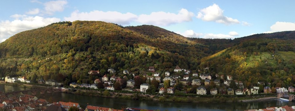 Heidelberg Neckarwiesen