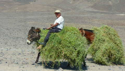 Peru Backpacker