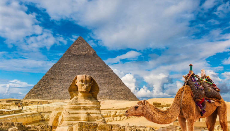 pyramiden gizeh kamel