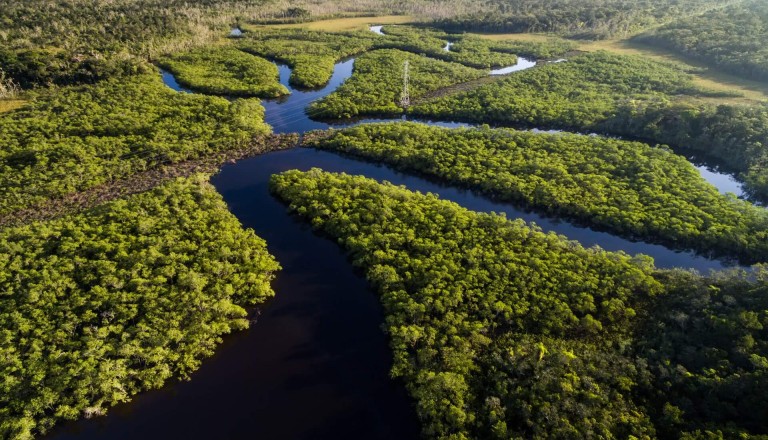 Amazonas Brasilien Kreuzfahrt