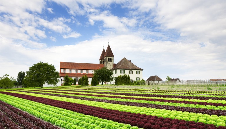 Bunt gemischter Salat vor der Stiftkirche auf Reichenau. Konstanz Städtereisen