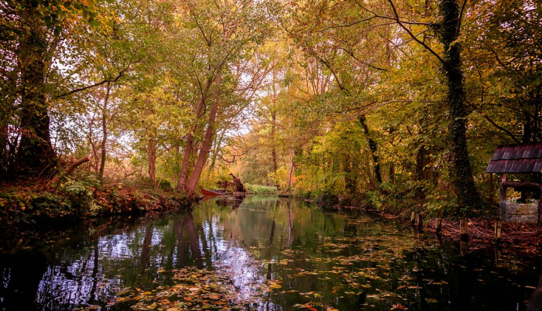 Reisen in den Spreewald