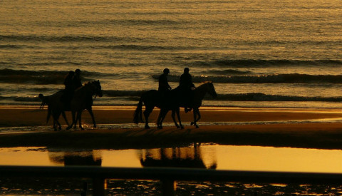 Reiten am Strand