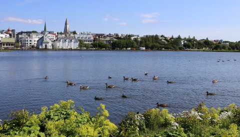 Island - Die Hauptstadt Rejkjavik