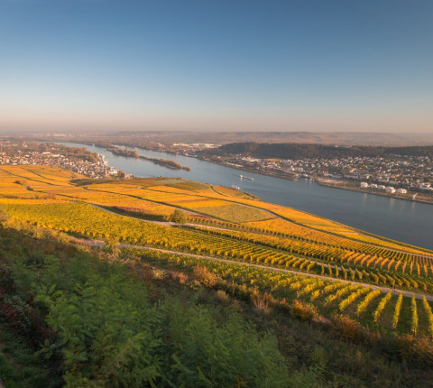 2 Tage Rheingau inkl. Frühstück