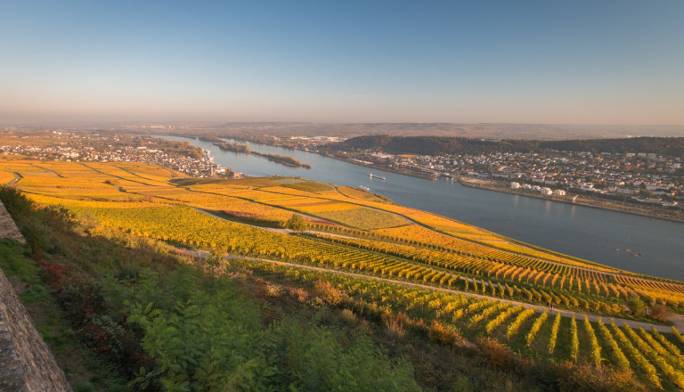 Rheingau