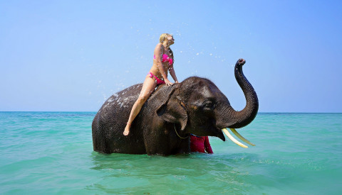 Baden mit Elefant in Thailand