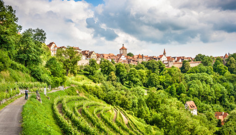 Rothenburg Weinberge