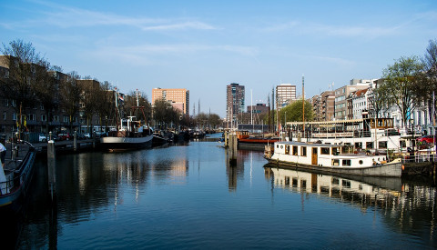 Erkunden Sie Rotterdam auf einer Spido Tour.