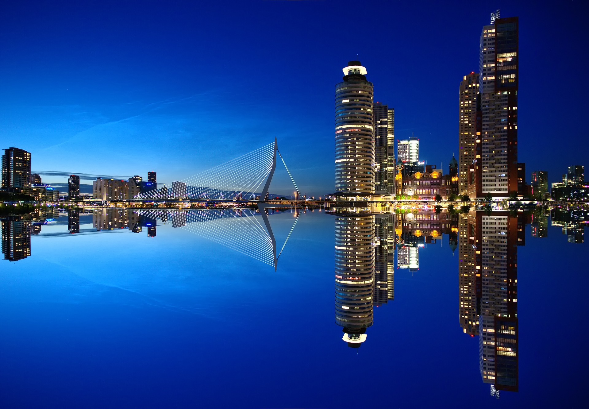 Skyline von Rotterdam bei Nacht