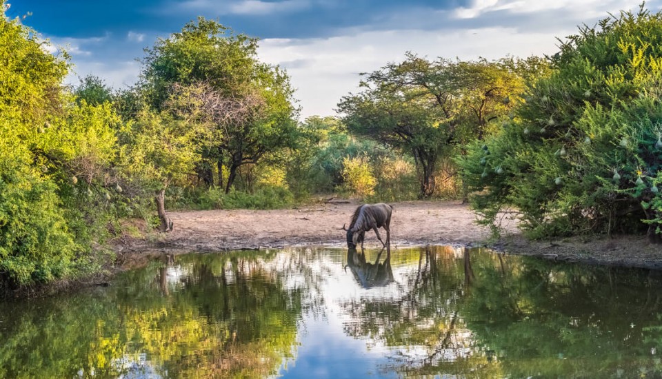 Rundreisen Botswana