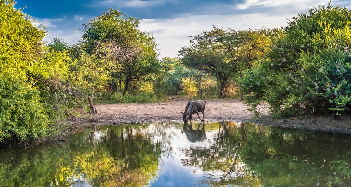 Rundreisen Botswana