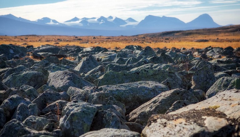 Bergpanorama im Sarek Nationalpark.