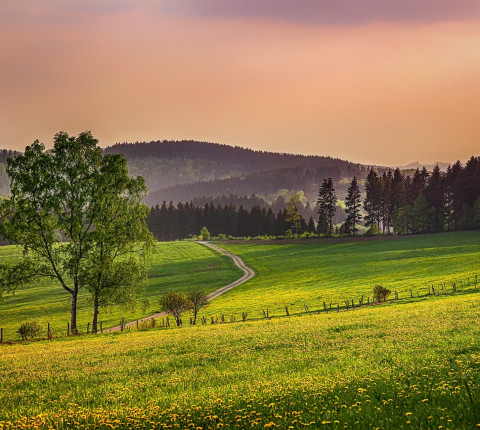 Romantische Auszeit im Sauerland: 4 Tage Pärchenurlaub inkl. Frühstück