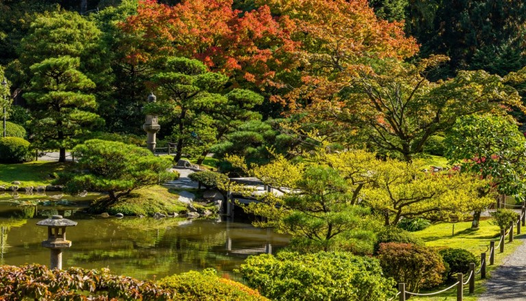 Der japanische Garten in Seattle. Outdoor auf Städtereisen