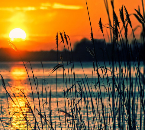 4 Tage Wandlitzer See inkl. Frühstück zur Eigenanreise