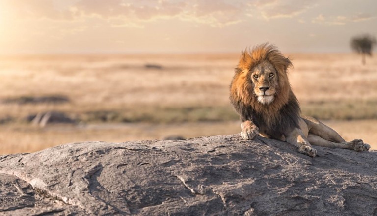 Serengeti Nationalpark