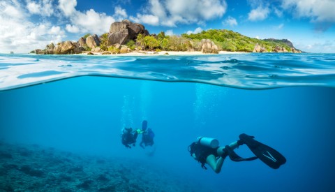 Seychellen Tauchen