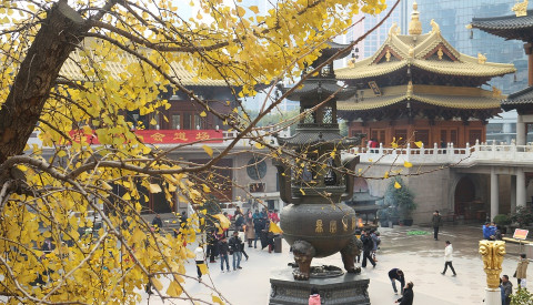 Besichtigen Sie Shanghais Tempelanlagen.