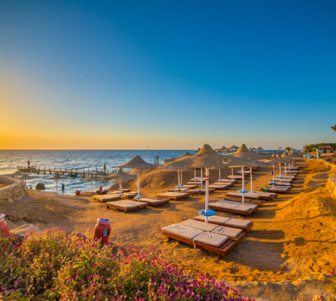 7 Tage Sharm el Sheikh All Inclusive mit Flug & Transfer