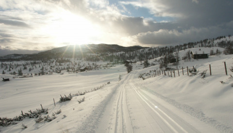 Skiurlaub in Finnland