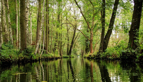 Spreewald Urlaub