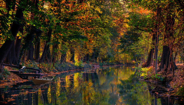 Spreewald im Herbst