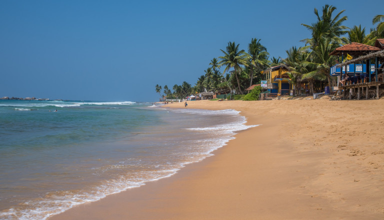 Unsere Nr.1 der Hikkaduwa Beach auf Sri Lanka