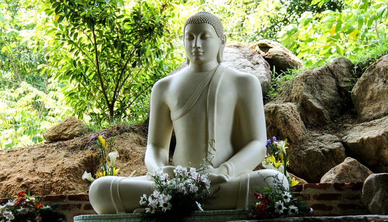 Sri Lanka Wellness Buddha