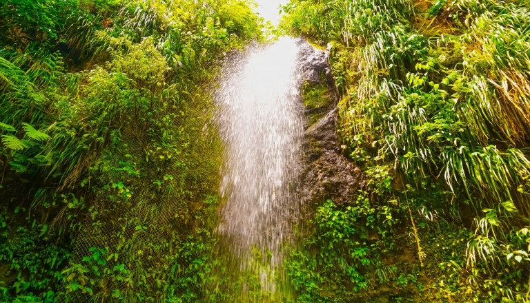 Diamond Botanical Gardens & Waterfalls St. Lucia