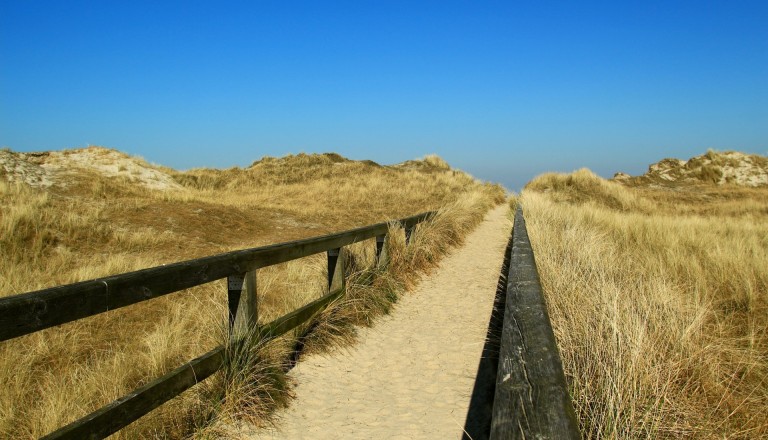 St. Peter Ording Dünenlandschaft