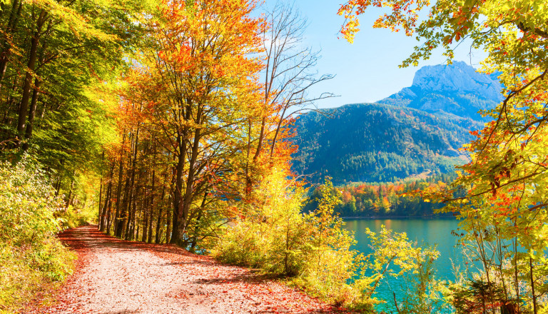 Österreich Herbst See