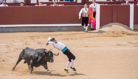 Besondere Veranstaltungen in Madrid: