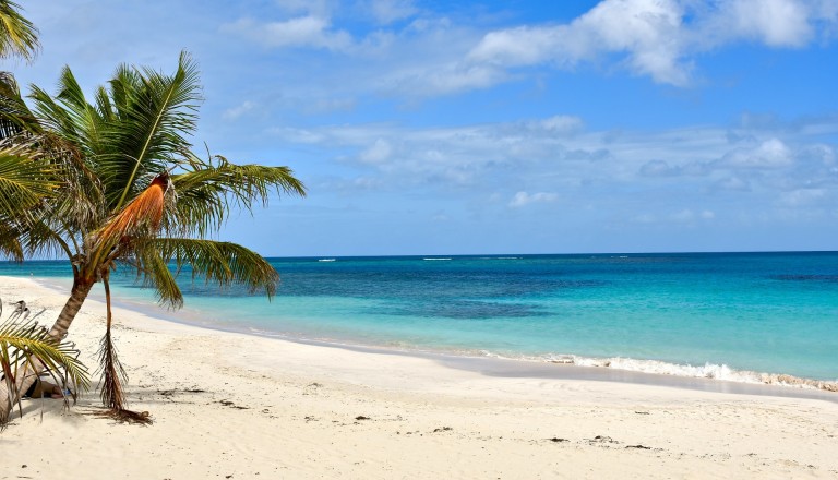 Strand auf der Culebra Insel