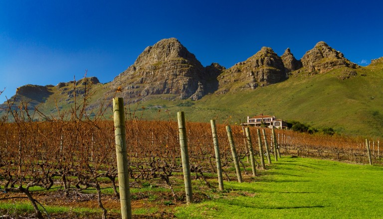 Stellenbosch Suedafrika Reisen