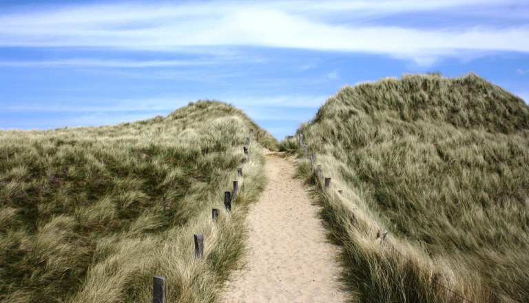 Reisen nach Sylt