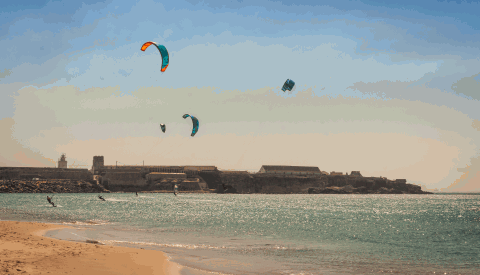 Tarifa Surfer