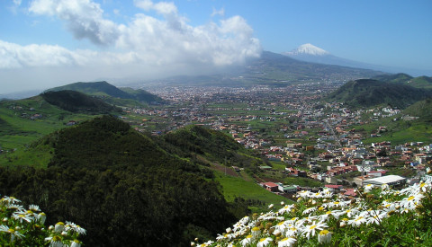 Oder erleben Sie die Natur und Kultur Teneriffas.