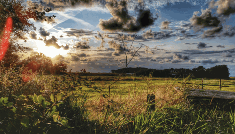 Texel Landschaft