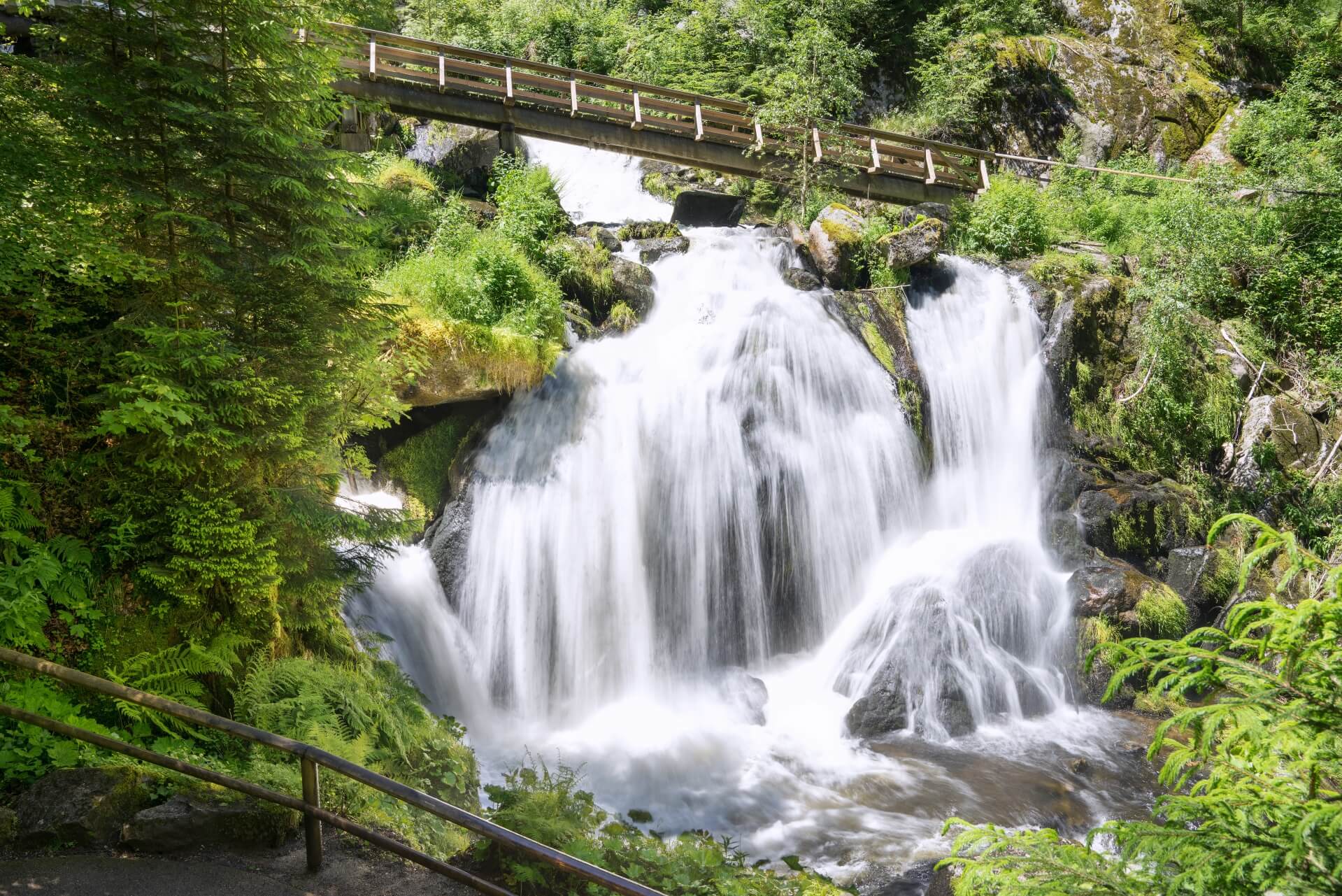 Schwarzwald Wellnessurlaub