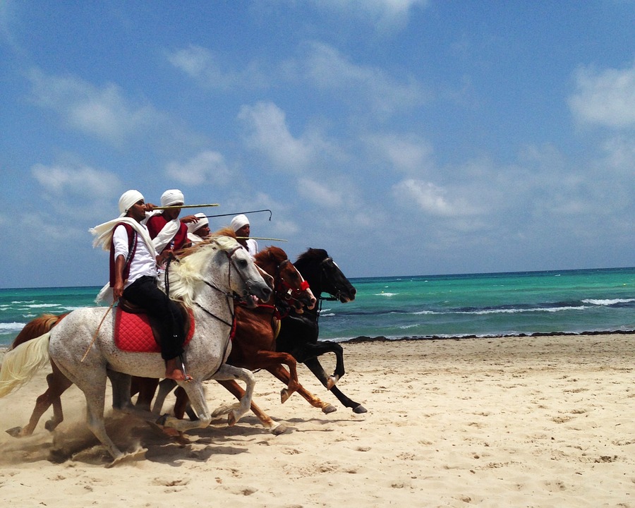 tunesien pferde djerba strand meer