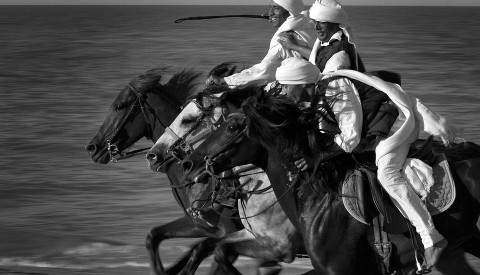 tunesien strand reiten djerba